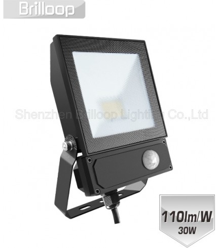 F17.AC-PIR  Floodlight